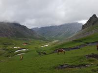 Wanderreise Nord-Spanien – Jakobsweg und Atlantik: 9 Tage Wanderreise in Nordspanien mit San Sebastian – Picos de Europa – Jakobsweg – Santiago de Compostela – Atlantikküste – Porto