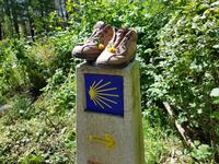 Wanderreise Nord-Spanien – Jakobsweg und Atlantik: 9 Tage Wanderreise in Nordspanien mit San Sebastian – Picos de Europa – Jakobsweg – Santiago de Compostela – Atlantikküste – Porto