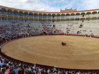 Singlereise: Madrid erleben! 5 Tage Städtereise Madrid mit Ausflügen nach Toledo, El Escorial und Segovia