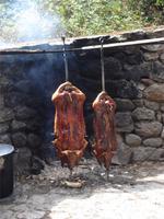 Hirtenessen Orgosolo