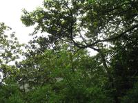 Wanderung Vereda dos Balcões 