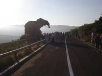 Elefantenfelsen bei Castelsardo
