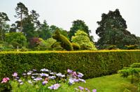 111 Knightshayes Court