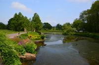 130 National Botanic Garden of Wales