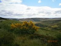 Grampion Mountains - Fotostopp
