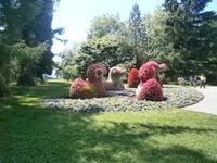 Das Wetter auf der Insel Mainau war sehr schön