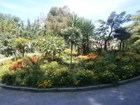 Gestaltetes Rondell in der Nähe des Schmetterlingshauses