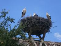 Nicht nur schön zu sehen, auch das 