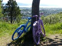 183. Blick auf Bodo vom Ronvikfjell, Norwegen, AIDAvita