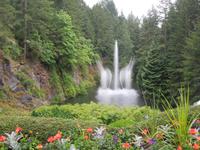 431 Butchart Gardens