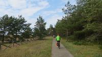 Auf dem Radweg über die Kurische Nehrung