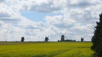 ...zum Angla Windmühlenpark