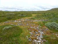 075_Hennes