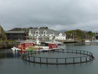 106_Hamn_i_Senja