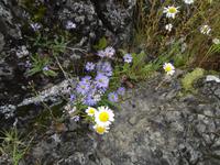 Sommerzeit