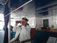 War da nicht ein Baumstamm oder Wal ? 