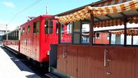 Schynige Platte (5)