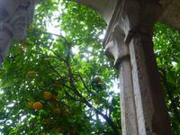 Franziskaner KLoster Dubrovnik