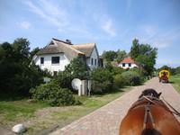 Hiddensee