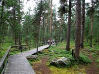 Bärenhöhle am Inarisee