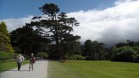 Muckross Park