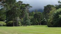 Muckross Park