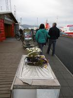 Reykjavik