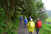 Wanderung im leichten Regen im Glenveagh National Park