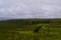 Zwei Bewohner des Burren