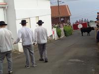 Terceira, Rennen der Stiere, Ribeirinha