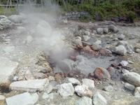 Sao Miguel, Caldeiras vulcânicas, Furnas