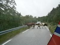 Auch das gibts in Norwegen