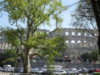 Pula