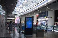 Besuch des Queen Elisabeth Olympia Parkes in Stratford