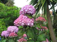 Wanderung Curral dos Romeiros