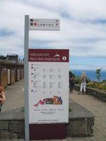 Miradouro Pico dos Barcelos