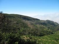 Wanderung Levada do Paul