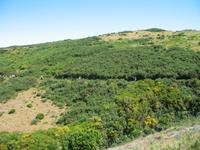 Wanderung Levada do Paul