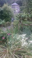 Garinish Island im Garten