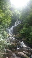 Wasserfall Torc, Muckross Estat