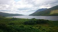 Fjord bei Leenane