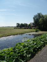 Ein einsames Haus im Naturschutzgebiet