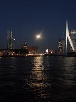 Die Erasmusbrücke in Rotterdam bei Nacht