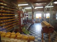 Käserei in Zaanse Schans