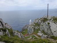 Sheeps Head