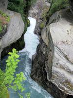 IMG_3788