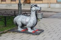 IMG_4336