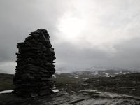 Fauntestein auf dem Sognefjell