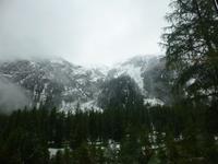 Fahrt mit dem Bernina Express