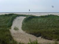 Amrum